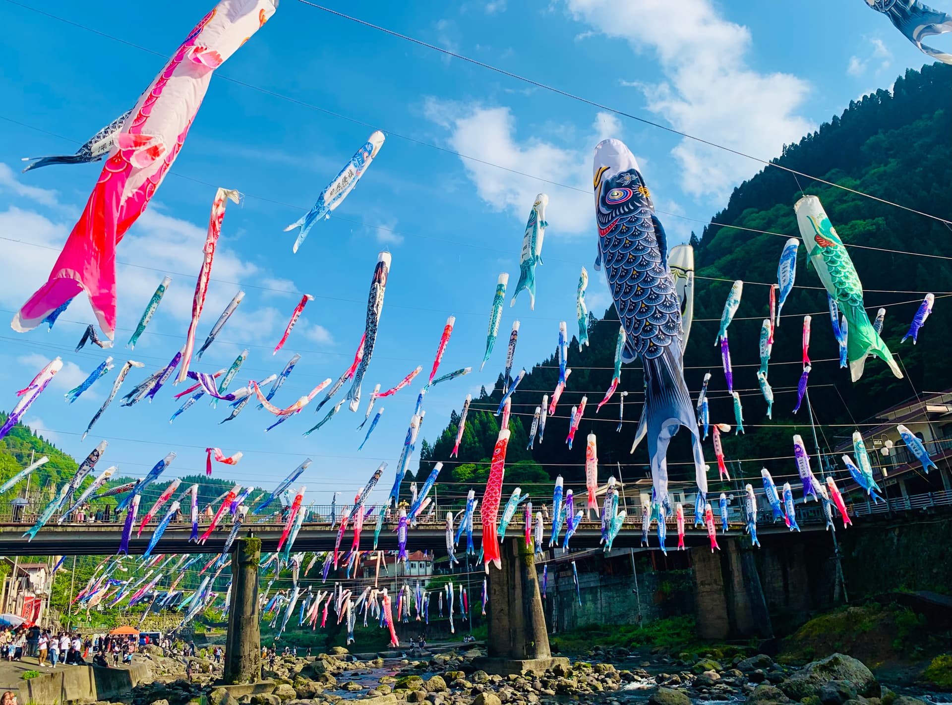 🎏GWキャンペーン開催中🎏