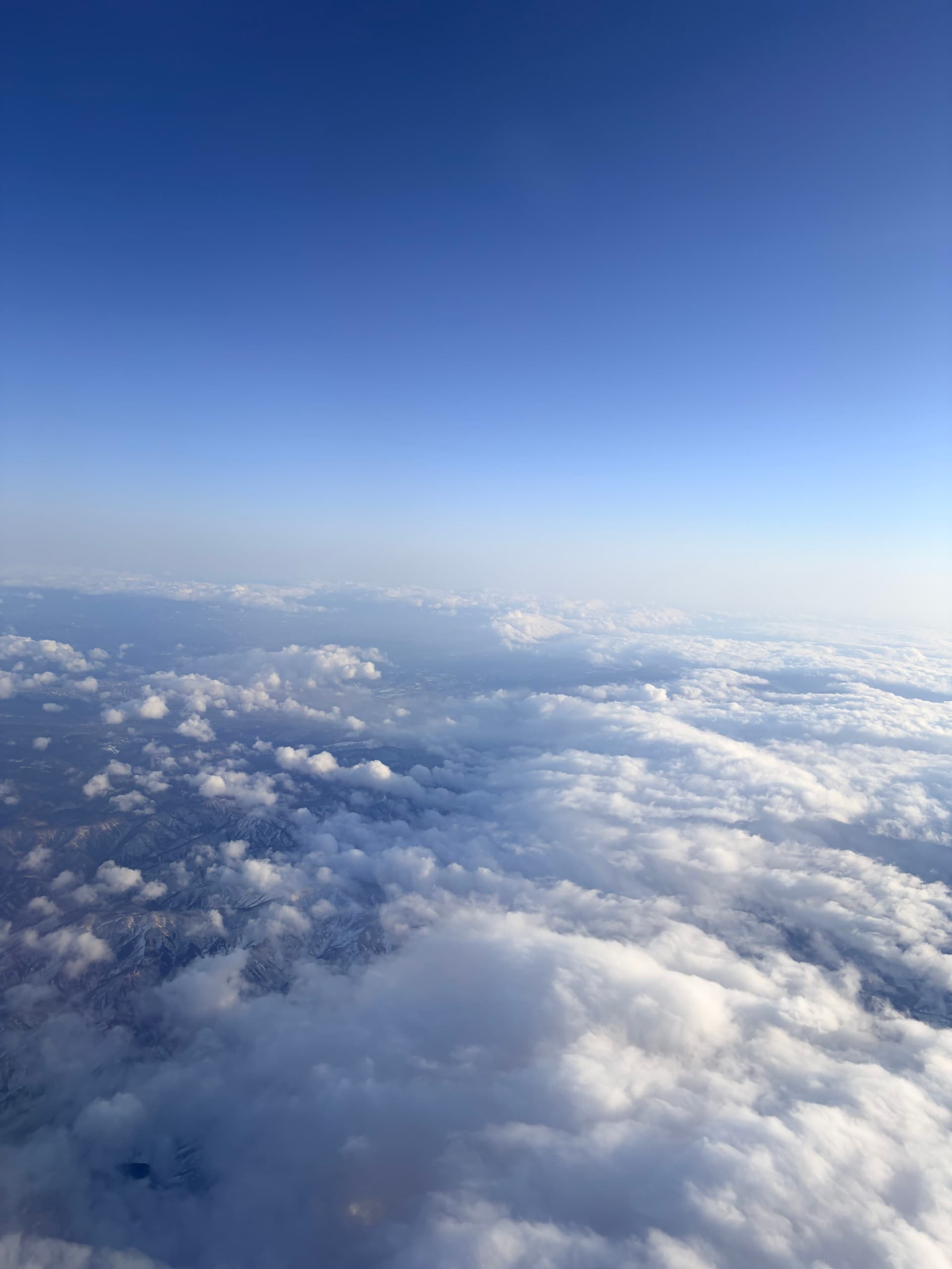 空の旅は好きですか?