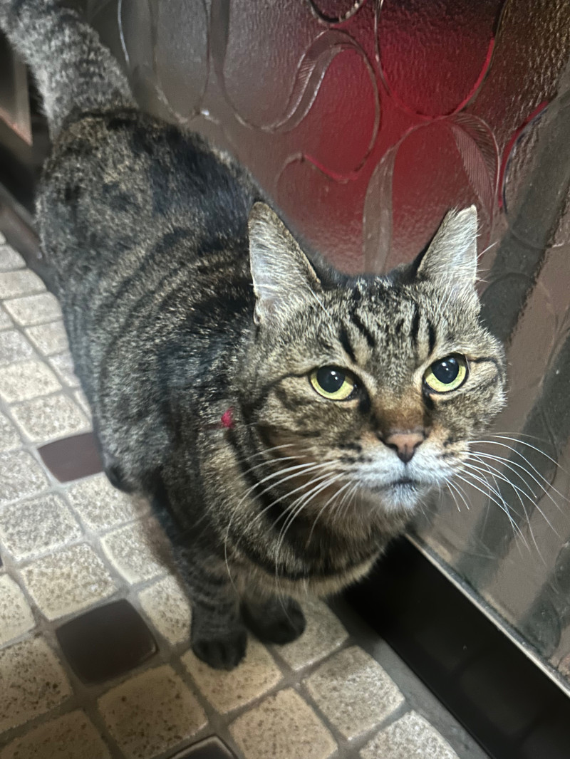 どしたん？話聞こか？