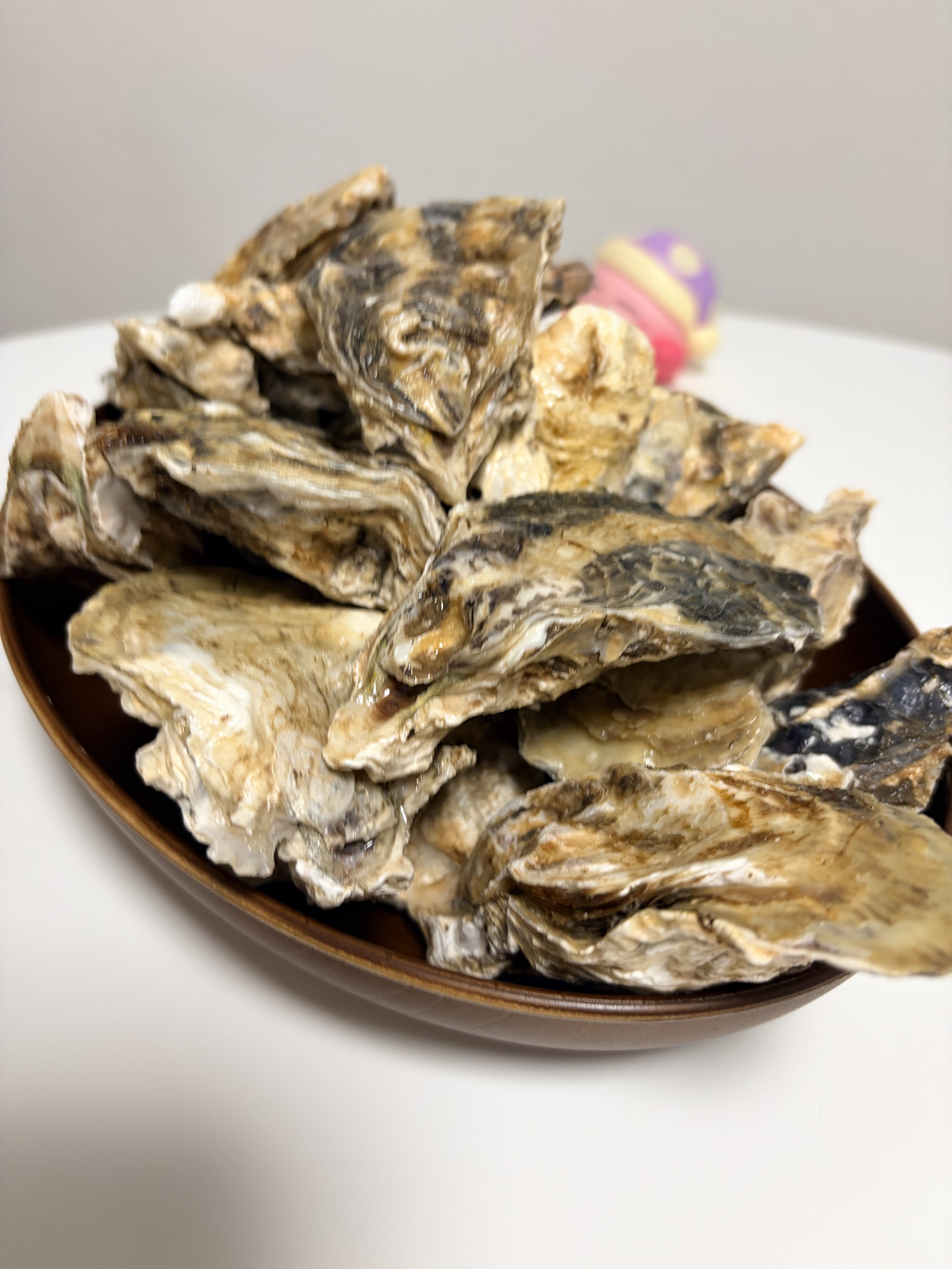 牡蠣！かき！カキ！