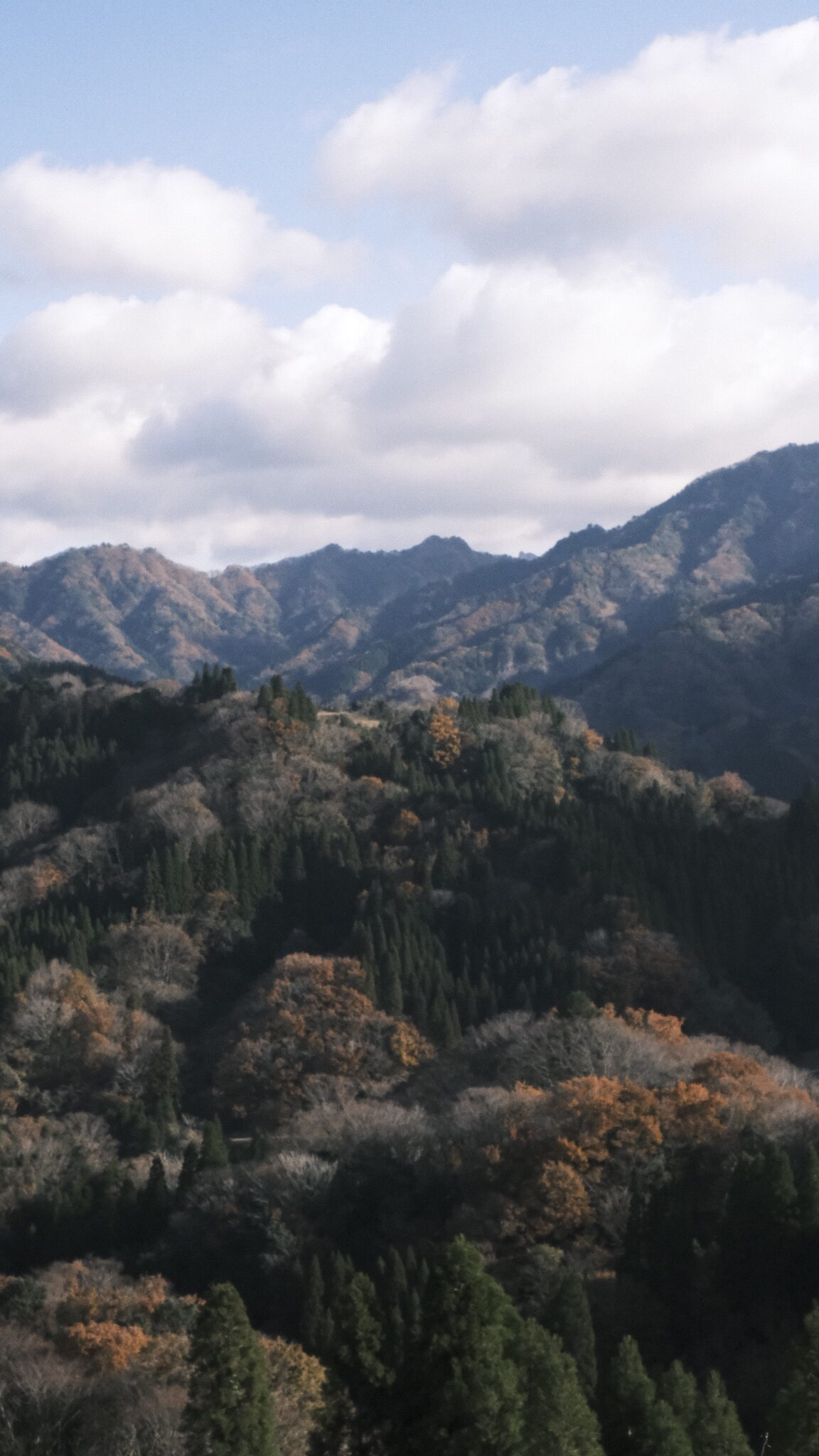 出勤お休みのご報告