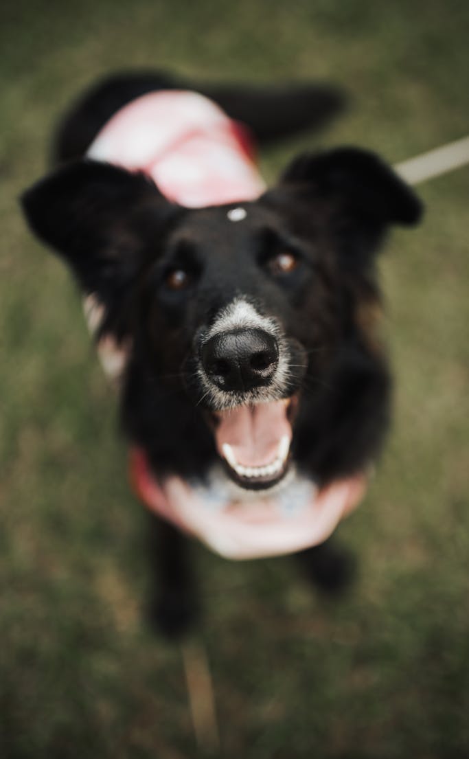 かけがえのないもの