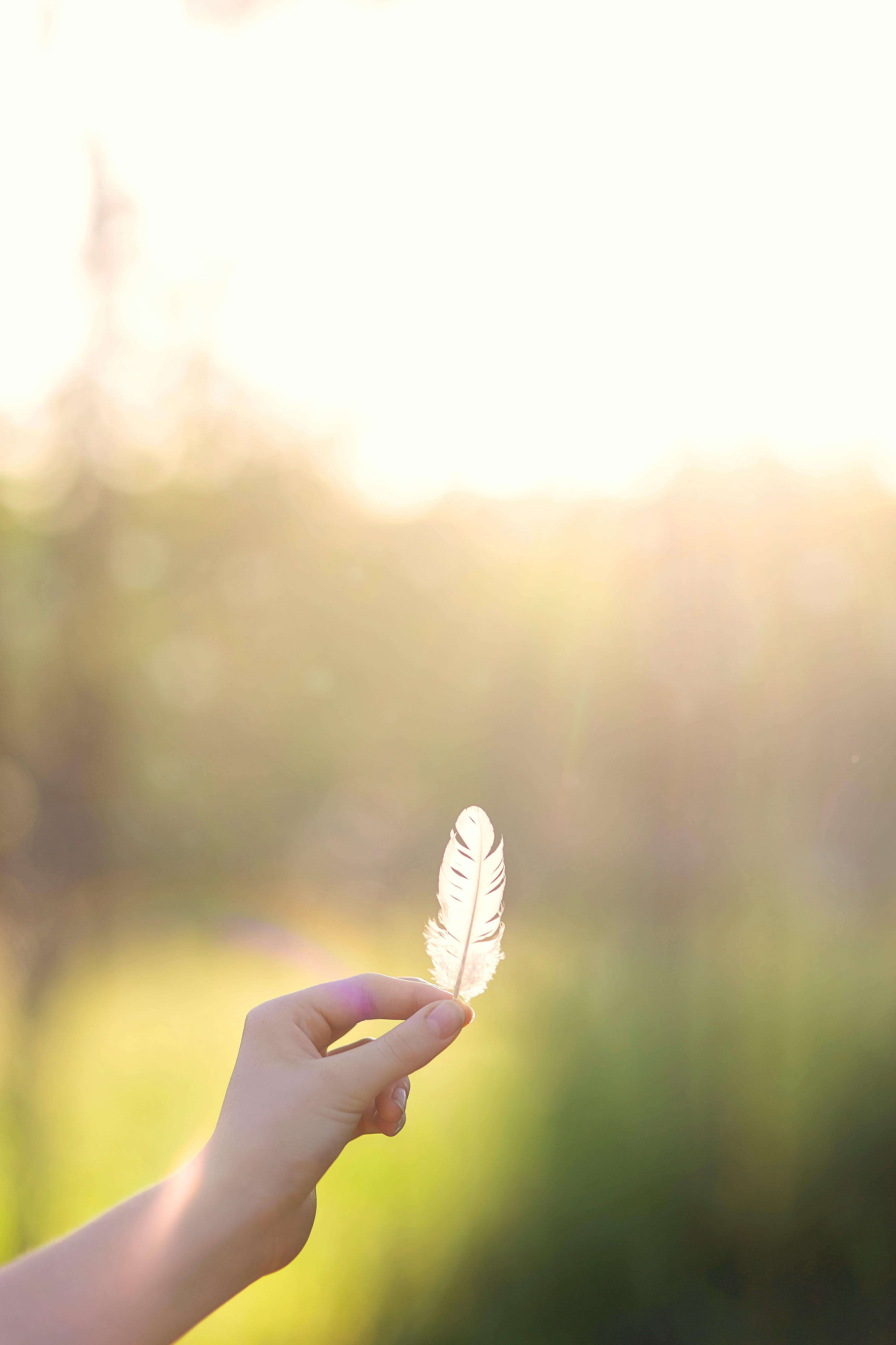 想い出に浸るひととき☘️